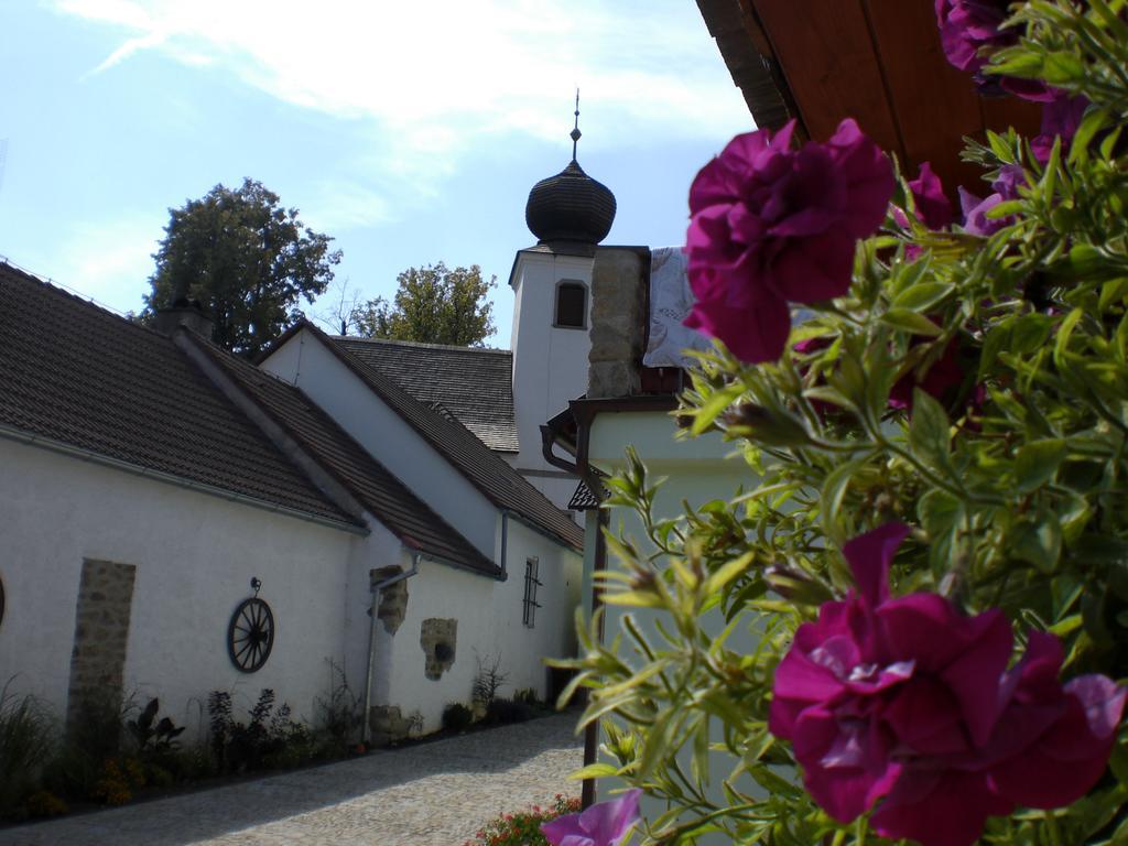 Penzion Cas Hotel Cesky Rudolec Exterior photo